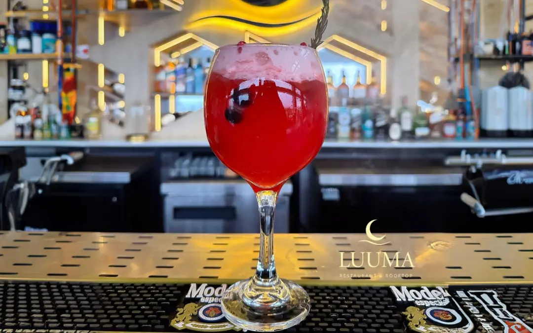 Bares en av. Flavio Reyes Manta con ambiente nocturno, cocteles y música en vivo.